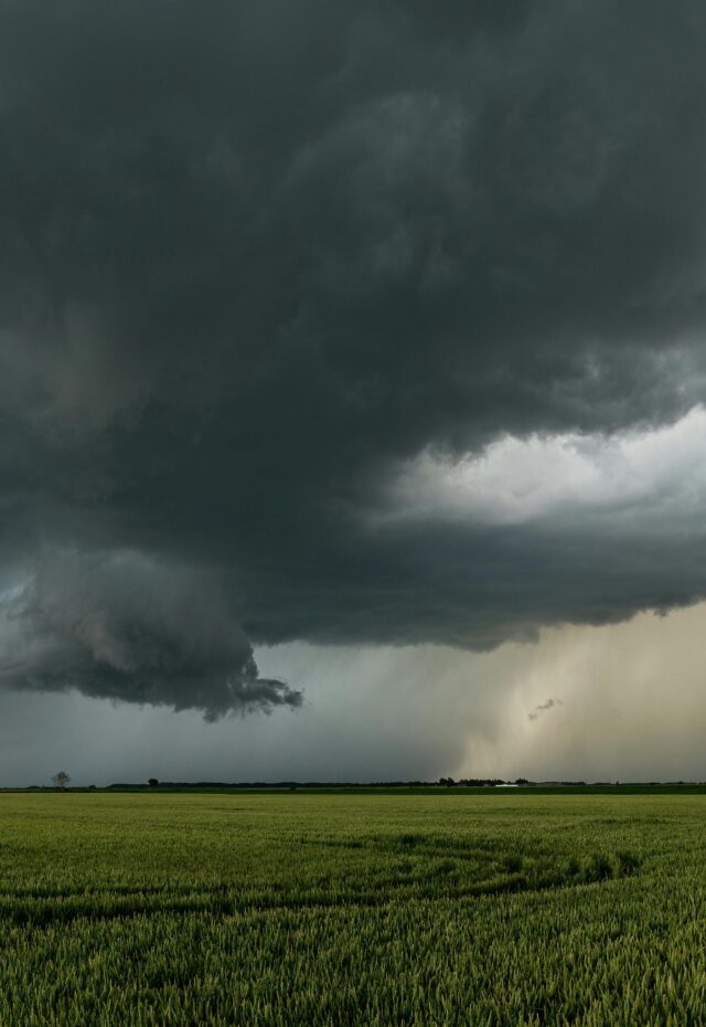 How Are Farmers Coping with Unstable Weather Conditions?