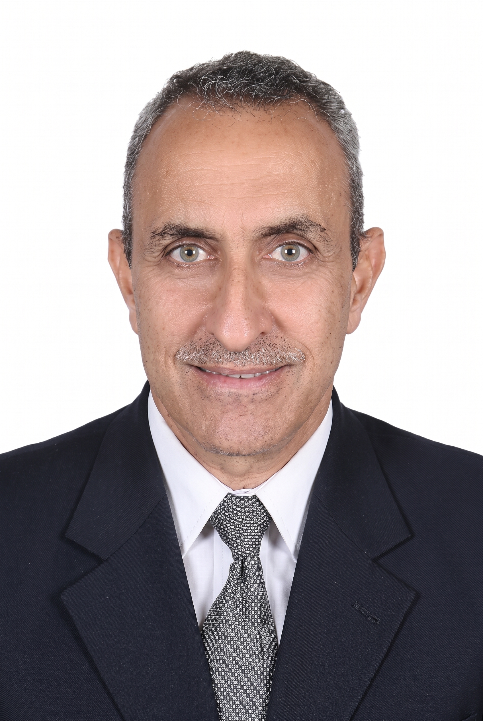 Professor Dr. Ayman F. Abou-Hadid